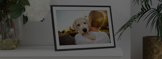 The Perfect Christmas Gift: A LuvLink Digital Photo Frame